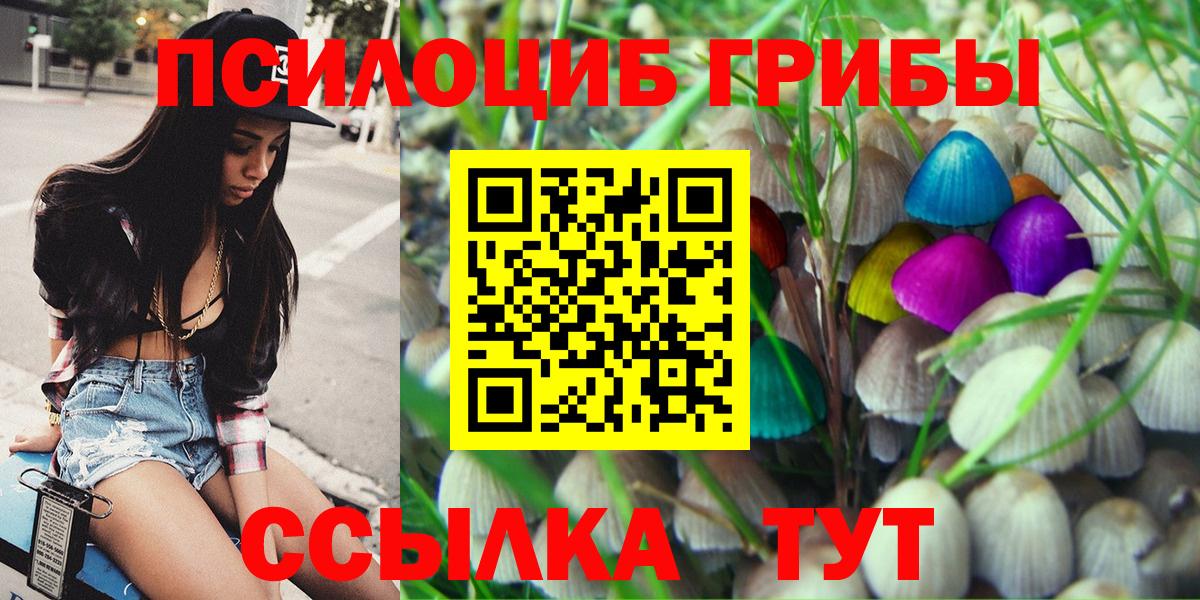 Усолье-Сибирское  Псилоцибиновые грибы MAGIC MUSHROOMS  Вход с VPN 