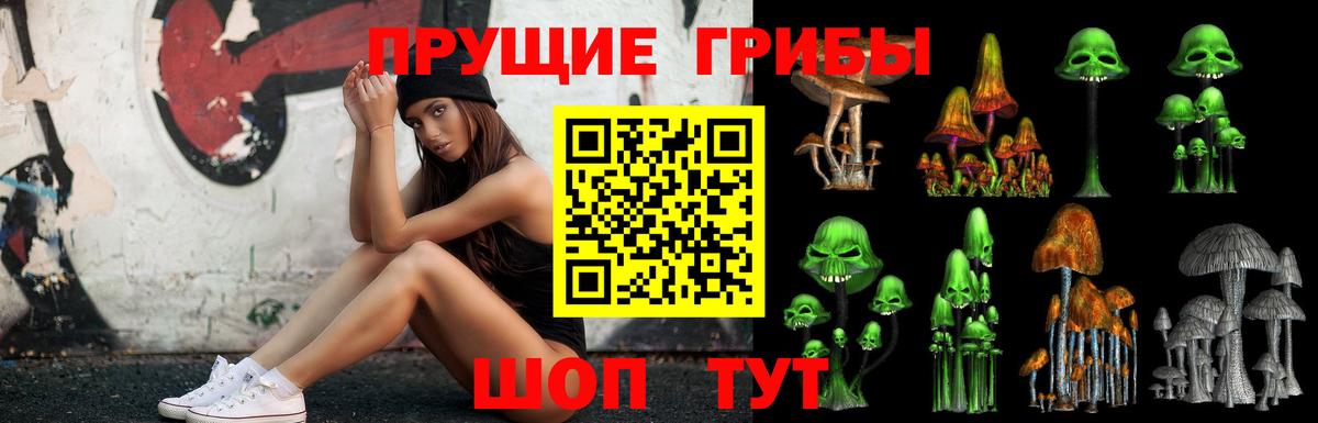 Псилоцибиновые грибы MAGIC MUSHROOMS Усолье-Сибирское